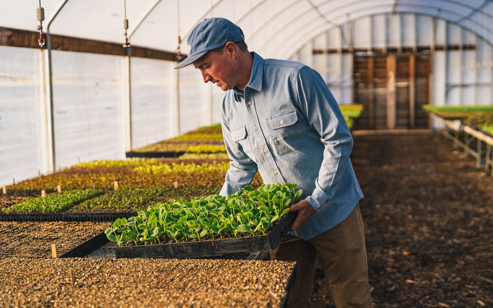 Taylor Stitch x The Ecology Center Collab Be Here Now Dispatch Taylor Stitch x The Ecology Center Collab Be Here Now Dispatch