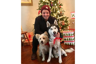 A man and two dogs crouched in front of a Christmas tree.