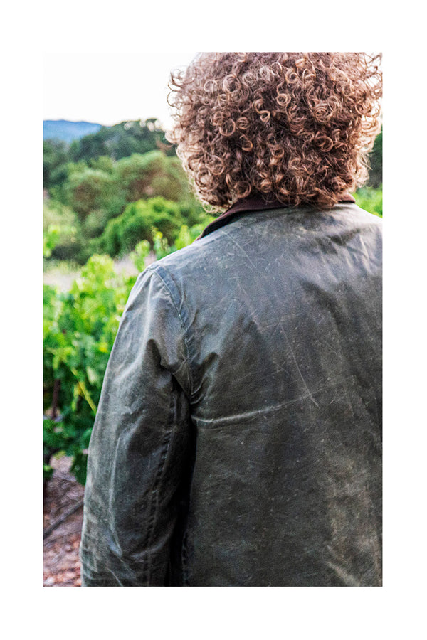 Bertus observing the vineyard—with his back facing the camera.