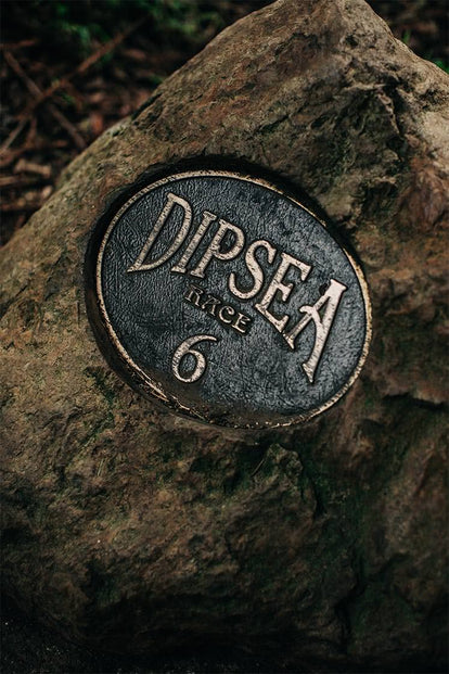 A trail marker, reading 'Dipsea Race 6'.
