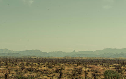 shot of the desert.