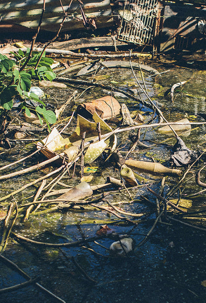 A litter-clogged waterway.