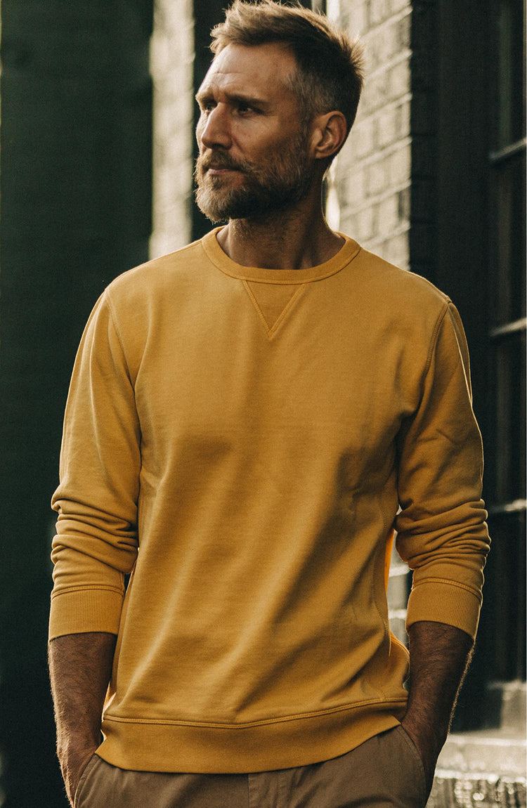 Editorial Panel: The Fillmore Crewneck in Canary, Knits by Taylor Stitch