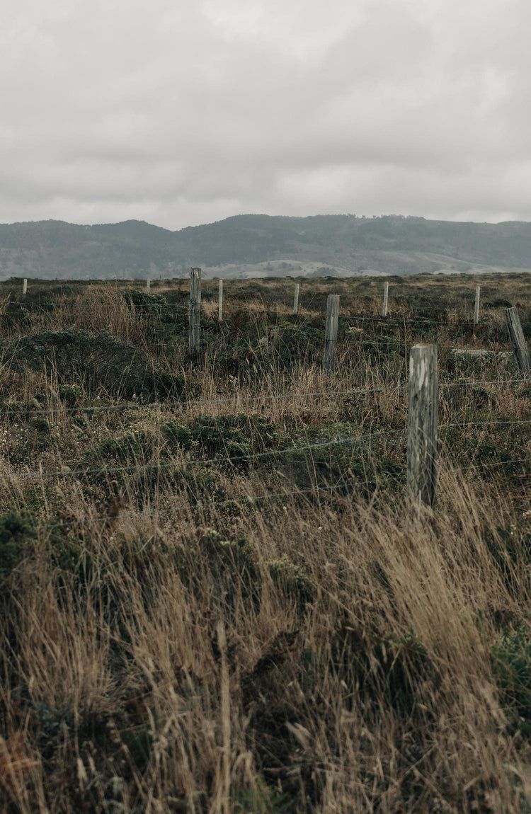 Editorial Panel: The Gibson Jacket in Khaki Donegal Wool, Outerwear by Taylor Stitch