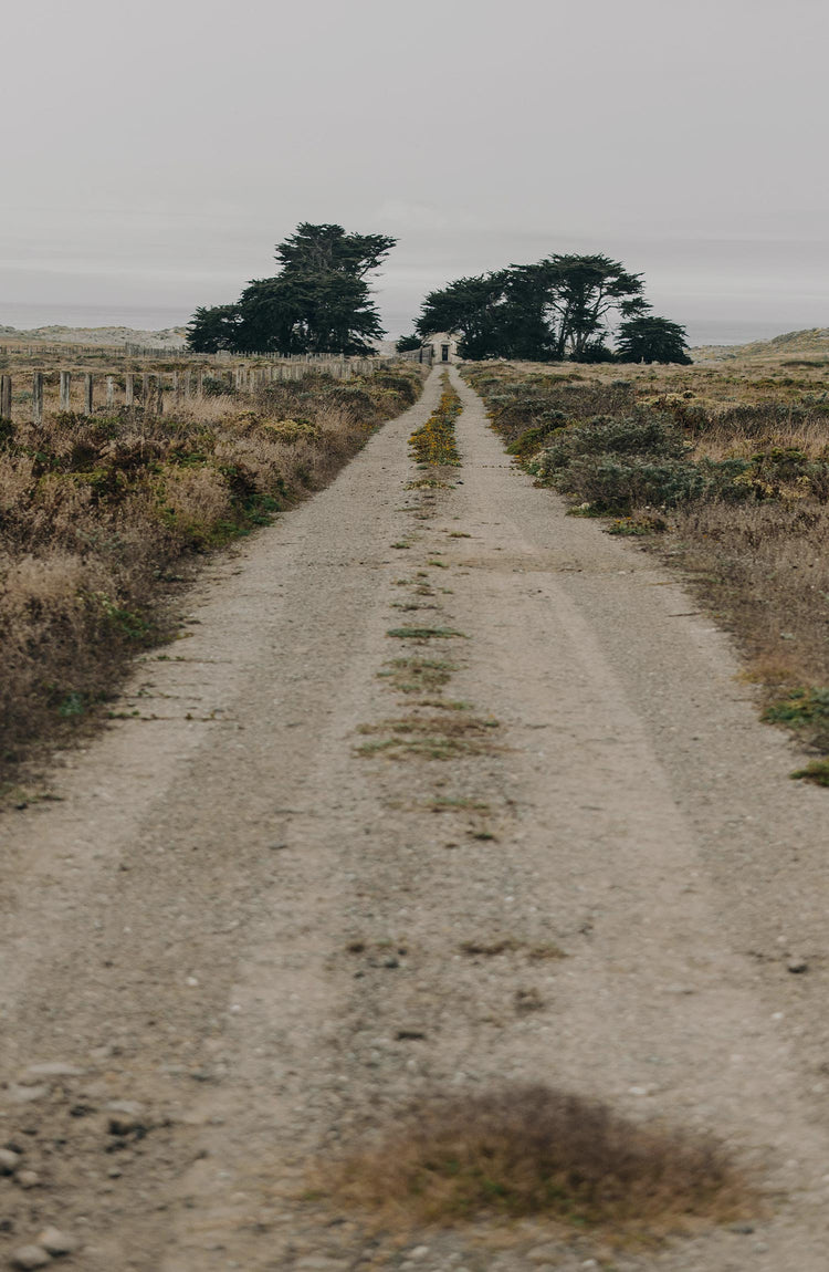 Editorial Panel: The Ojai Jacket in Ginger Check Wool, Outerwear by Taylor Stitch
