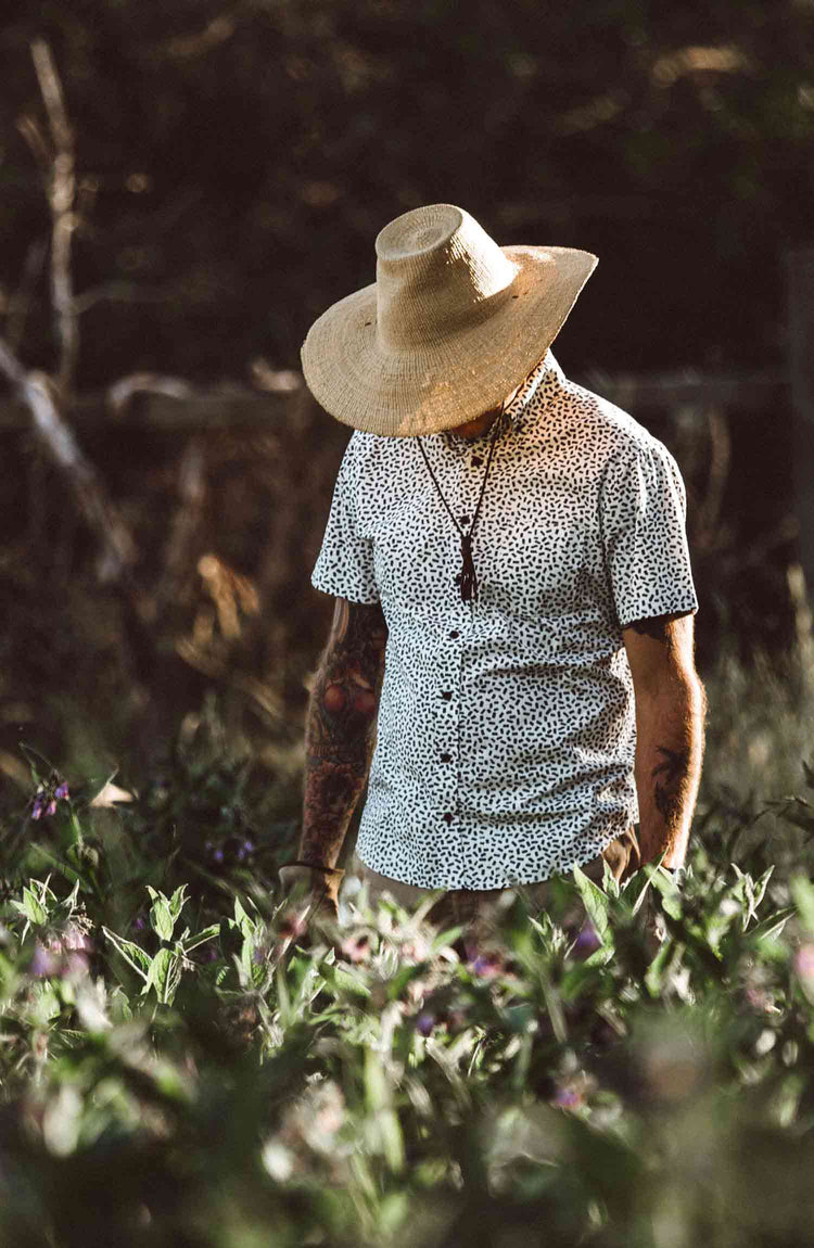 The Summer Colleciton