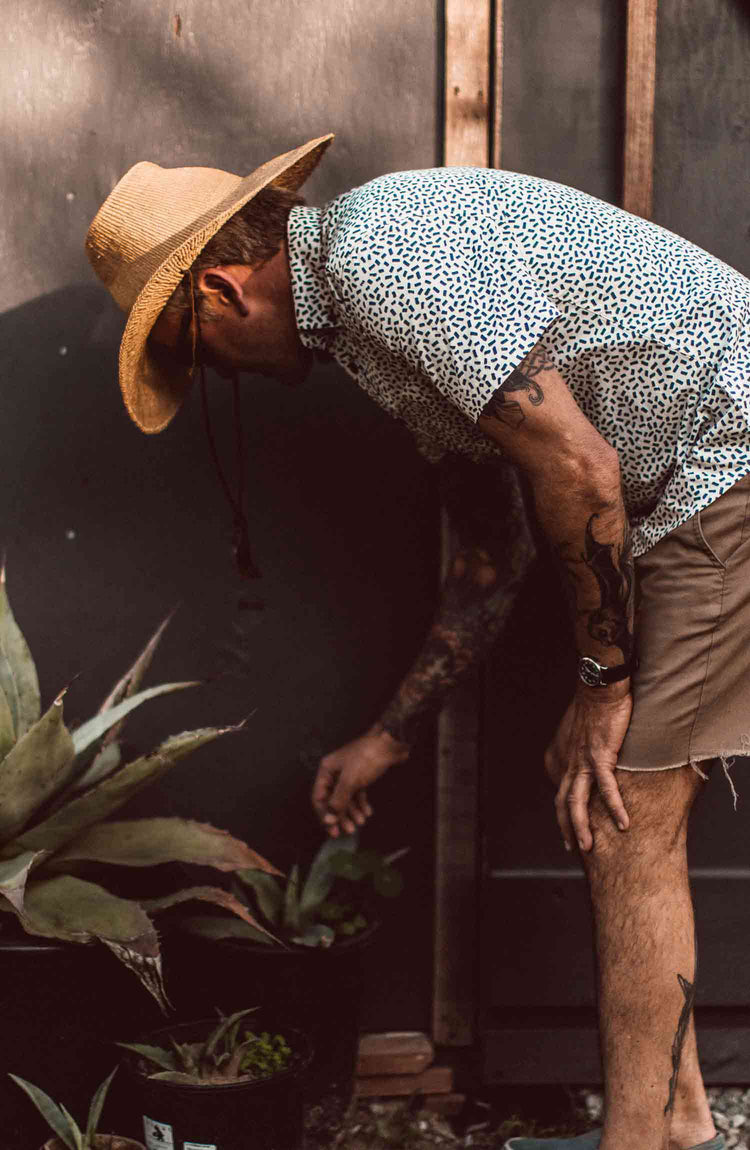 The Summer Colleciton