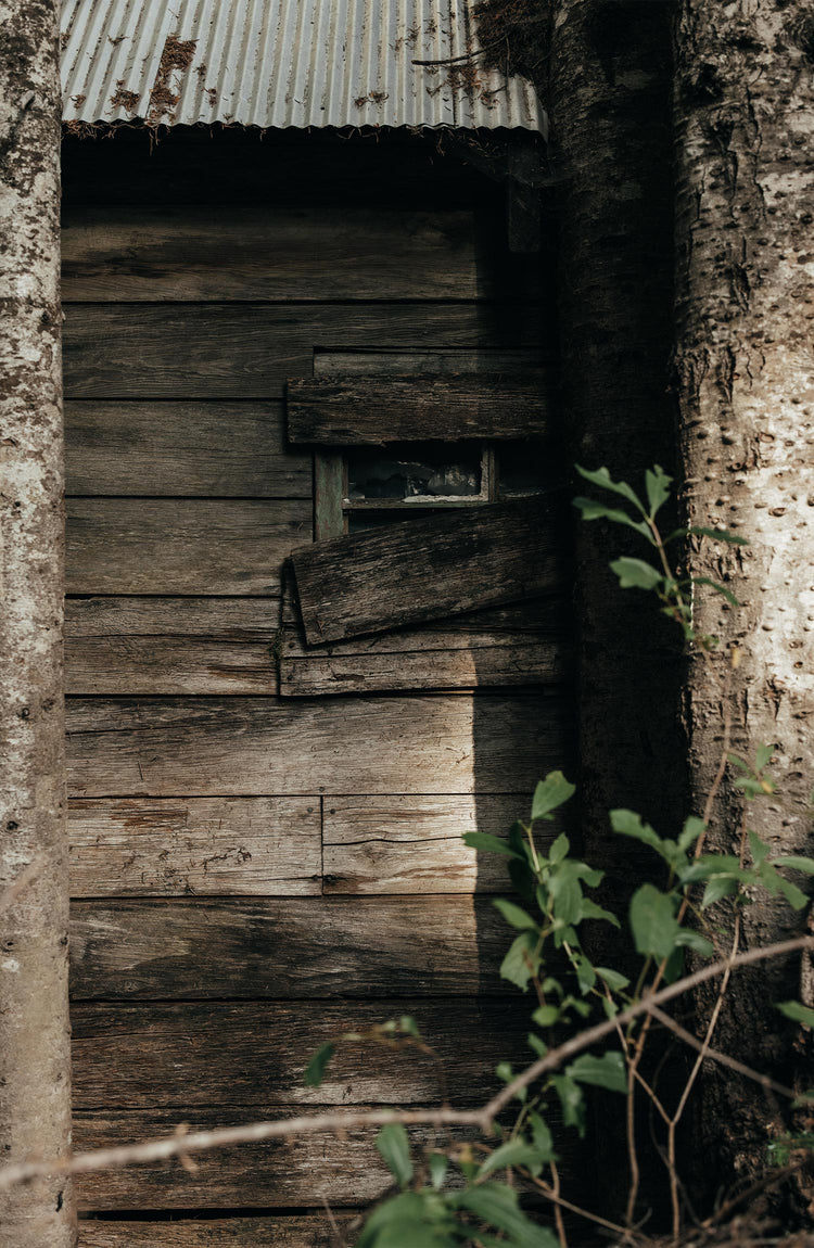 Editorial Panel: The Saddler Shirt in Washed Olive, Wovens by Taylor Stitch