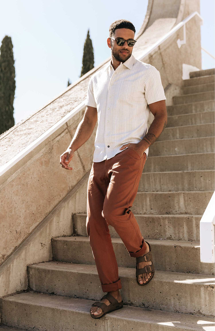 The Summer Collection”