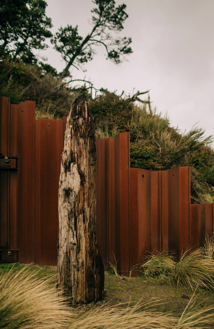 A tree trunk in a field outside