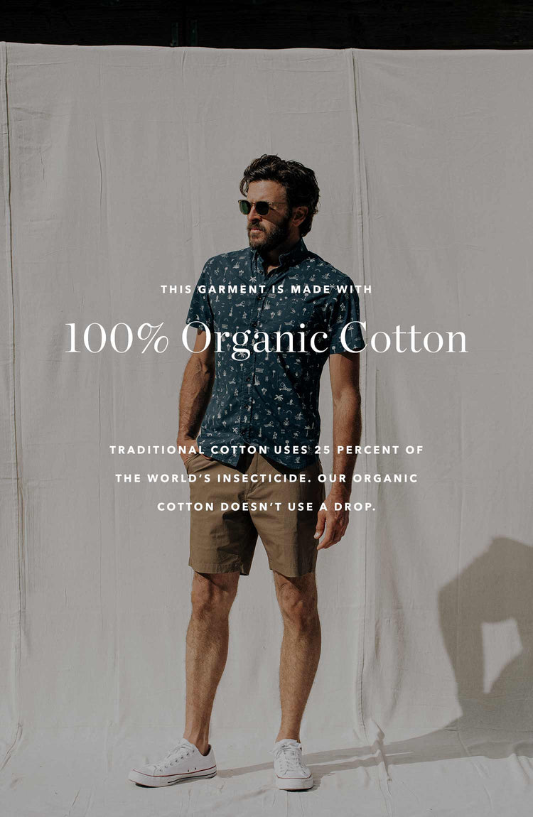 The Summer Colleciton