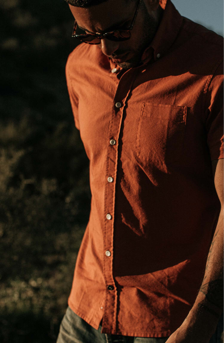 The Summer Collection