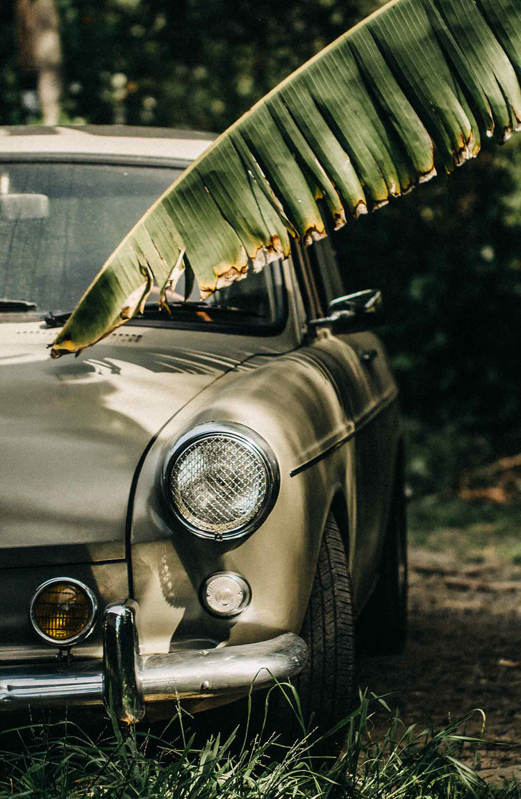 The Summer Colleciton