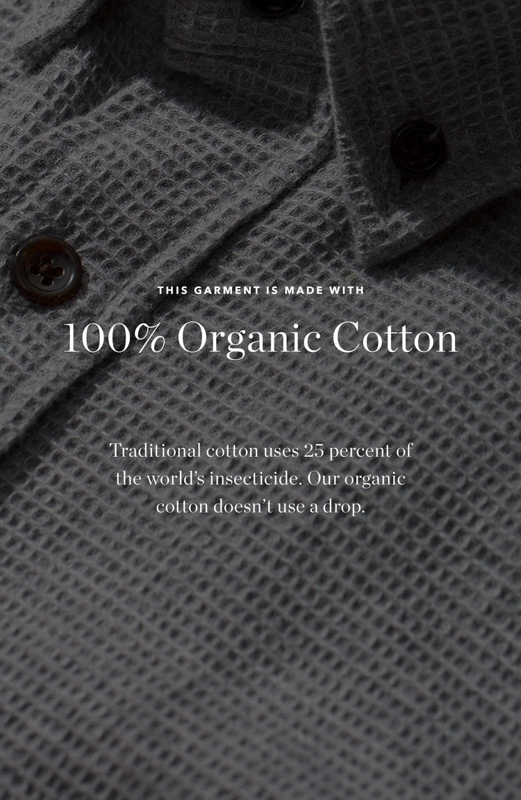 The Spring Collection