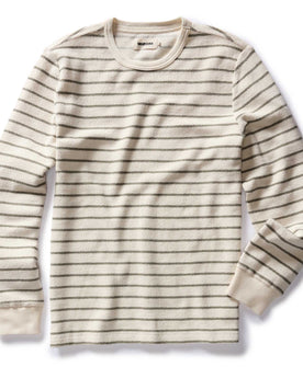 flatlay of The Adams Crew in Cilantro Stripe Reverse Terry, Knits by Taylor Stitch