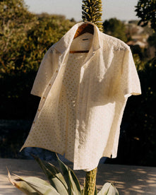 editorial image of The Short Sleeve Hawthorne in Vintage White Embroidered Eyelet on a hanger