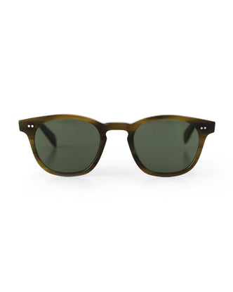 front image of The Legend in Green Tortoise