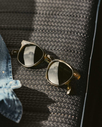 editorial image of The Legend in Green Tortoise on a car seat