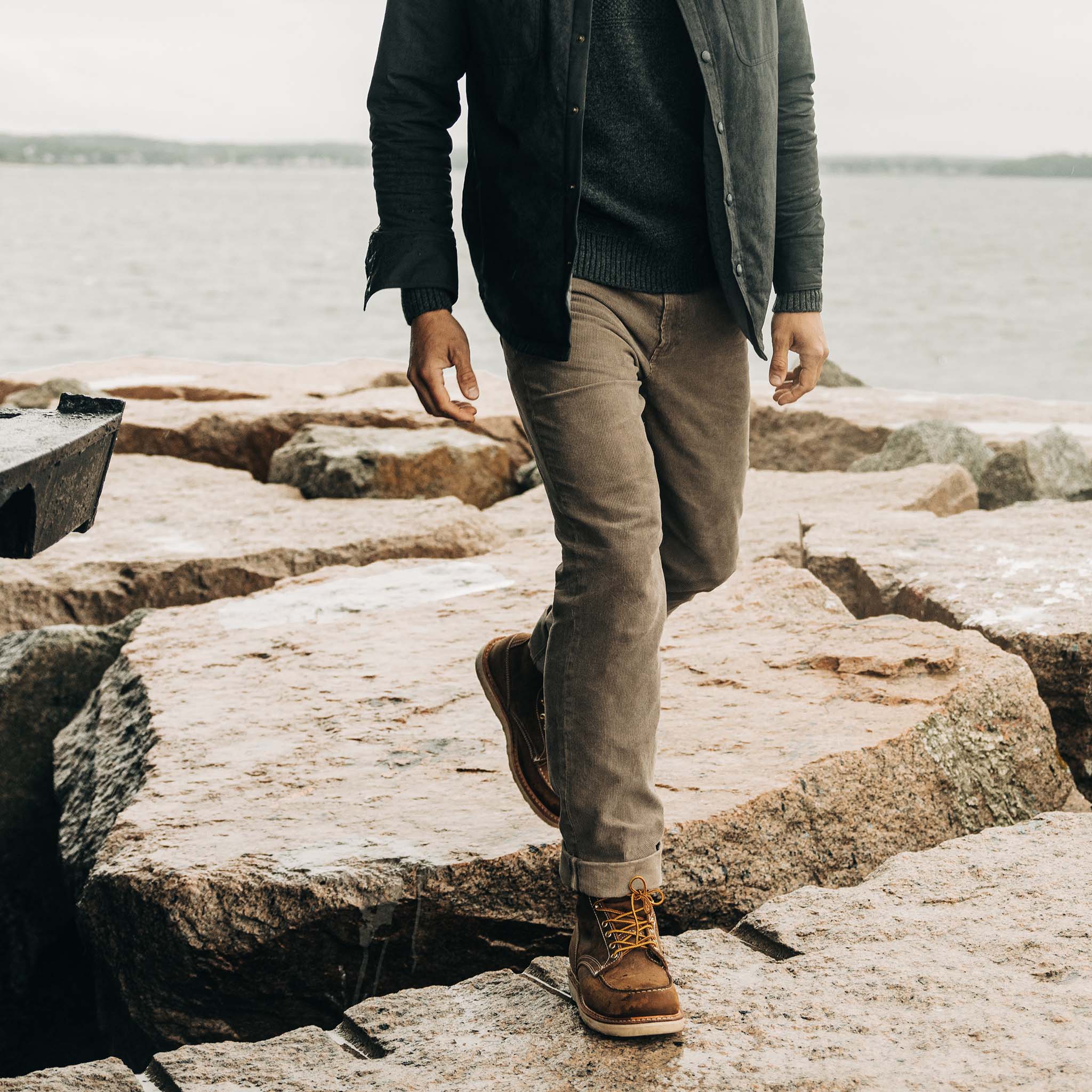 The Democratic All Day Pant in Morel Cord | Taylor Stitch