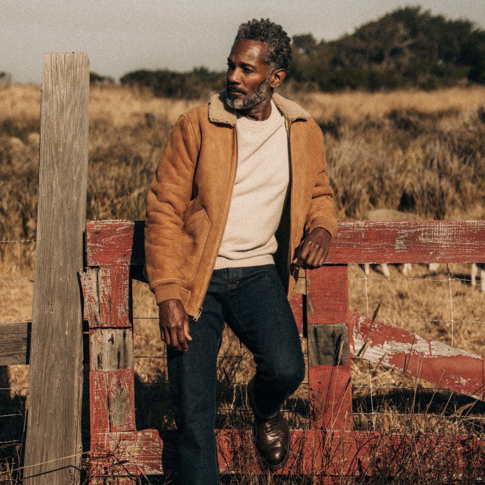 The Wright Jacket in Camel Shearling Leather | Taylor Stitch