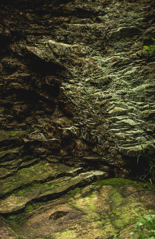 Moss-covered rock.