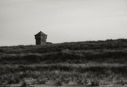 Black and white image of the landscape in Cape Cod