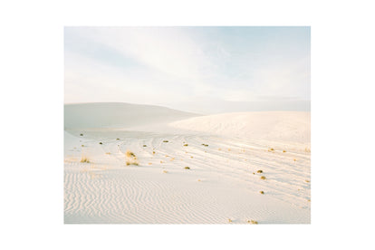 A film photo of the desert dunes