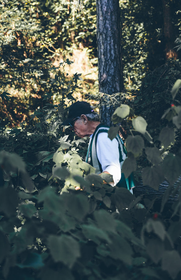 An older gentleman walking through woodland on a sunny day.