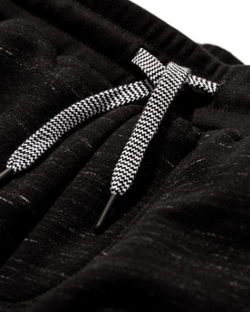 The Travel Pant in Black Fleece: Alternate Image 6, Pants by Taylor Stitch