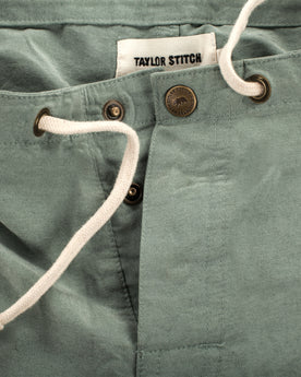 The Surf Trunk in Sage: Alternate Image 2, Pants by Taylor Stitch