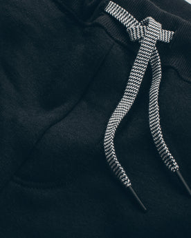 The Merino Sweatpant in Black Fleece: Alternate Image 4, Pants by Taylor Stitch