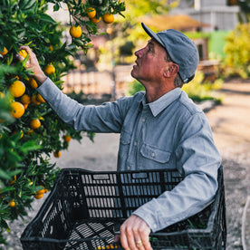 fit model at The Ecology Center picking oranges in The Chore Shirt in Washed Indigo Boss Duck