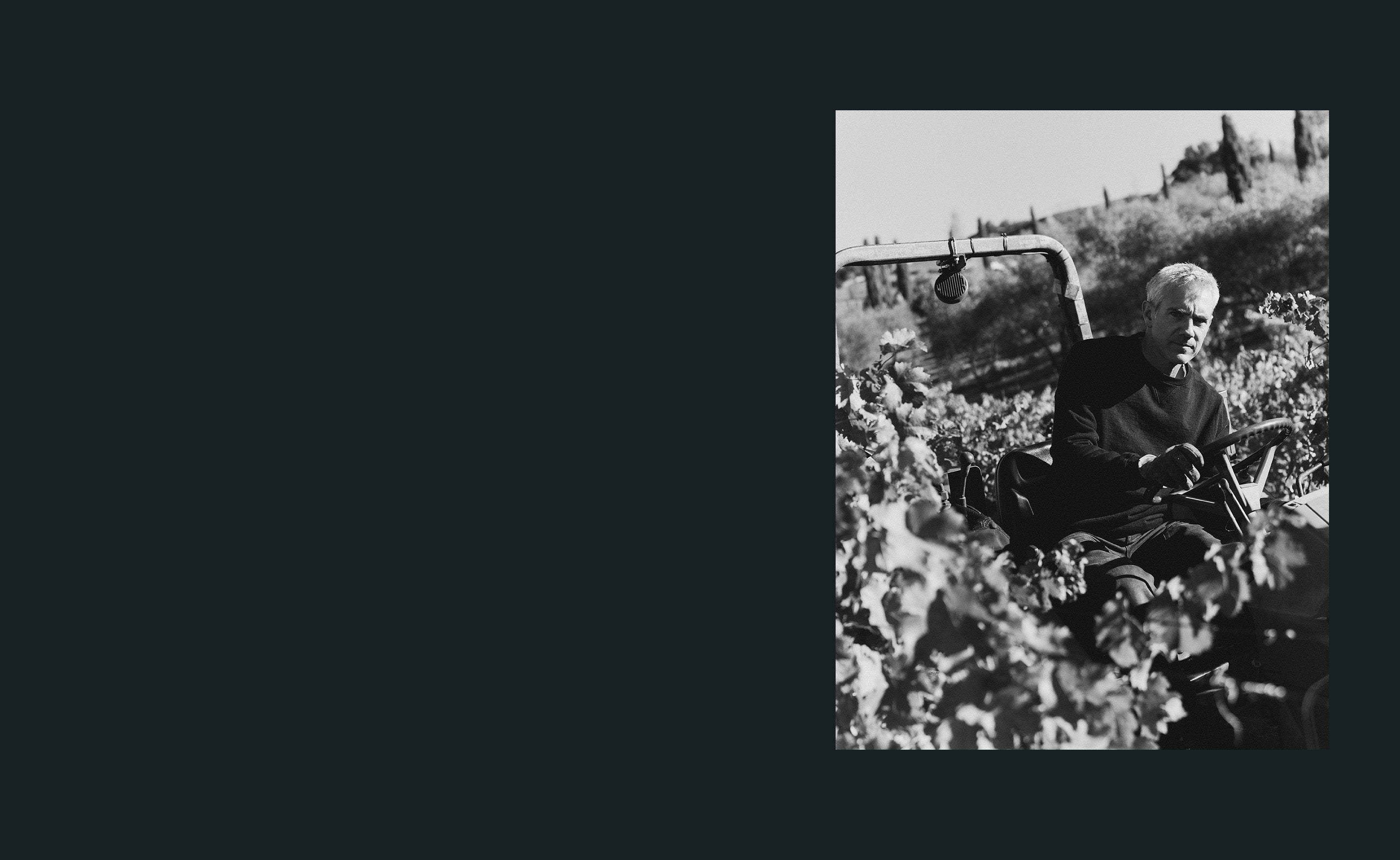 Jack of Keep Wines among the vines at harvest