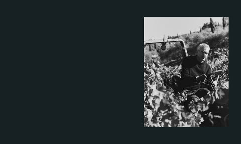 Jack of Keep Wines among the vines at harvest