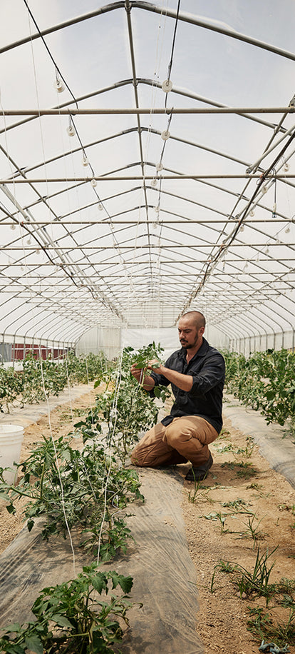 Jeff from the Rodale Institute tending seedlings in a greenhouse garden