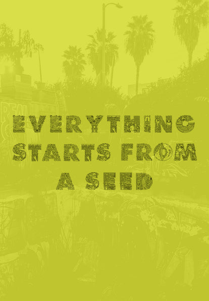 Everything starts from a seed.