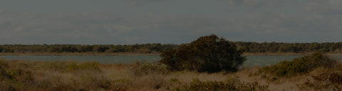 Organic Cotton Denim