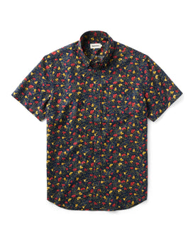 New Arrivals collection