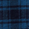 Crescent Plaid Oxford