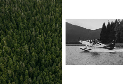 editorial image of a Ward Air seaplane taking off