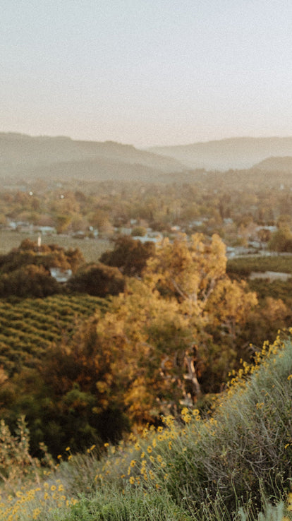 The Ojai hills