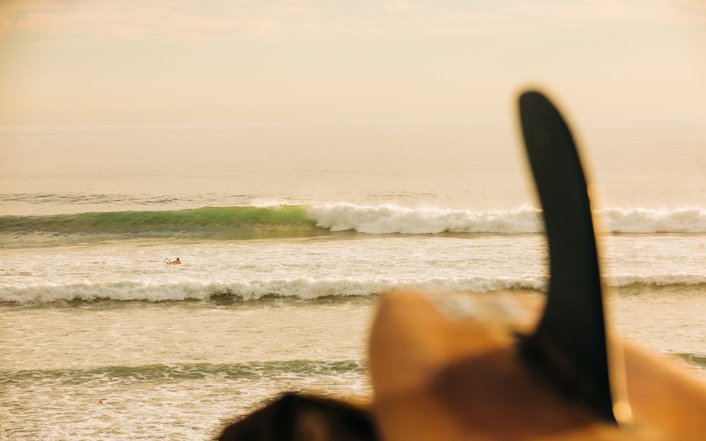 Model surfing in the sea