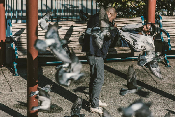 shop the ojai jacket