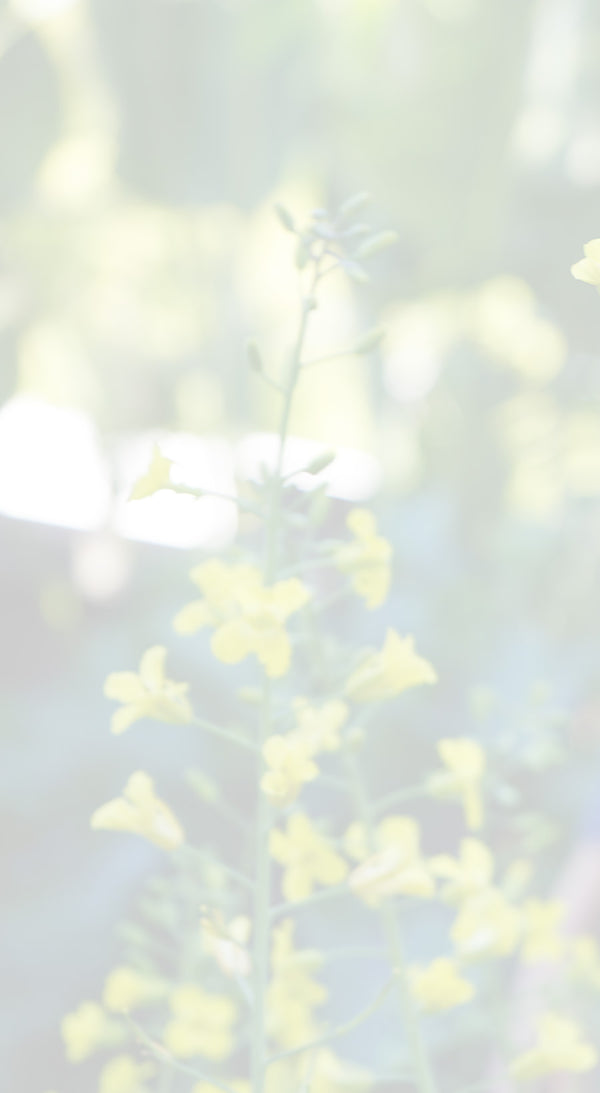 Artist: Kristin Arzt