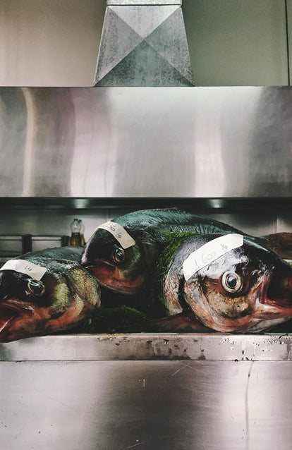 Tagged fish on a fishmonger's table.