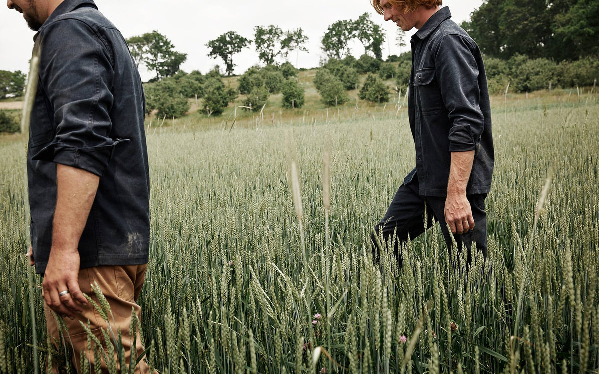 Taylor Stitch x Rodale Institute - Common Good Collection | Dispatch