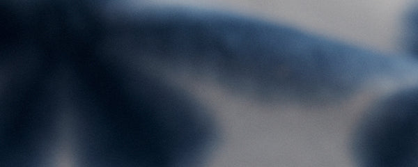 The Short Sleeve Jack and California from the Taylor Stitch x Dailola capsule