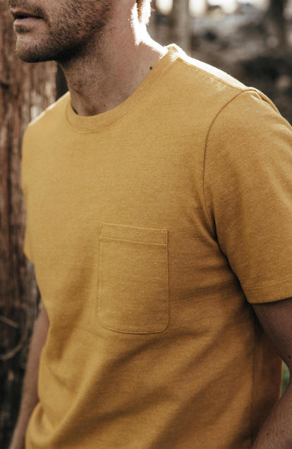Editorial Panel: The Heavy Bag Tee in Honey, Knits by Taylor Stitch