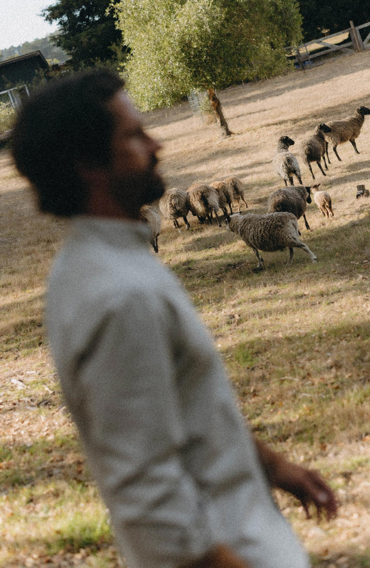 Editorial Panel: The Jack in Coal Jaspe University Stripe Oxford, Wovens by Taylor Stitch