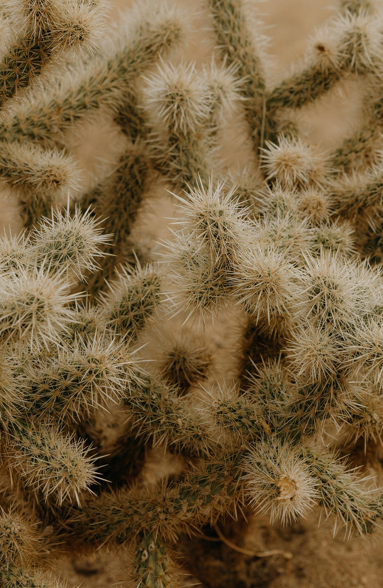 The Ranger Sweater in Heather Fog Linen Waffle